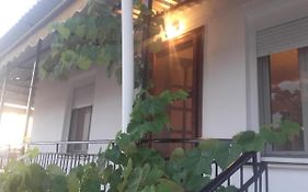 Vasilis House